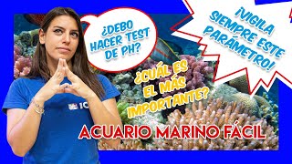 PARÁMETROS IDEALES para ACUARIOS MARINOS pt1 – pH KH Ca Mg y salinidad [upl. by Kovar]