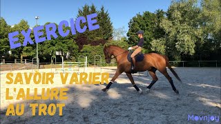 Exercice de dressage 👉 La variation de lallure au trot [upl. by Lessur]