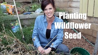 How to Plant Wildflower Seed for Early Spring Flowers [upl. by Teerprah]