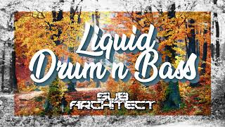 Liquid DNB Chill AutumnFall Vibes 2024 [upl. by Latreese]