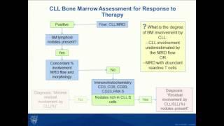 B Cell Chronic Lymphocytic Leukemia Strategies for Diagnosis Prognosis and Response to Therapy [upl. by Hooge]