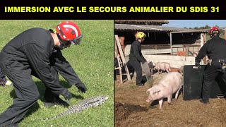 Immersion avec le secours animalier du SDIS 31 [upl. by Morlee]