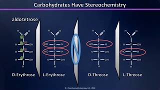 A Brief Introduction to Carbohydrates Aldoses Ketoses and their Stereochemistry Explained [upl. by Engracia]