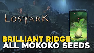 Lost Ark All Brilliant Ridge Mokoko Seed Locations [upl. by Ez]