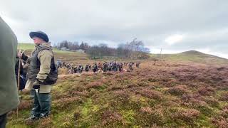 Spaniel championship 2023 Field trials￼ champion Sedgewood Poppy of Countryways first run￼ [upl. by Bullough]