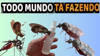 O REPELENTE MAIS EFICAZ contra o MOSQUITO da DENGUE pernilongos BORRACHUDO E IMARUIM E MURISOCA [upl. by Inirt]