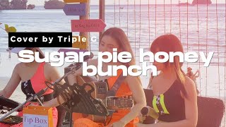 🍯Sugar pie honey bunch  Four Tops 🥧 Cover by Triple G [upl. by Zennas]