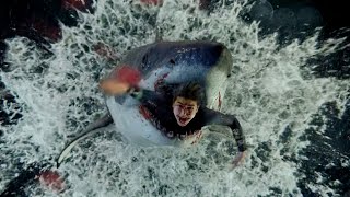 UNDER PARIS 2024  Shark Attack The Divers Full Scene HD [upl. by Enavi]