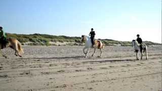 Strandritt renesse strandrit manege grol [upl. by Kappenne107]