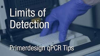 Primerdesign qPCR Tips  Limits of Detection [upl. by Yovonnda607]