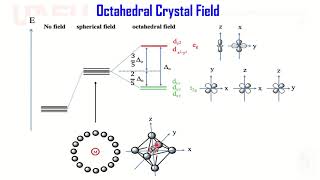 Crystal Field Theory Coordination Compounds Octahedral Tetrahedral Tetragonlly Distorted Field Oh Td [upl. by Bergin822]