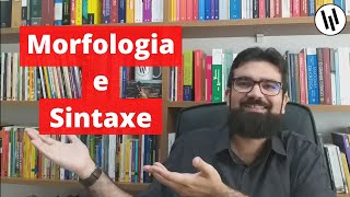 Morfologia e sintaxe o que estudam Quais suas diferenças  Professor Weslley Barbosa [upl. by Lednam725]