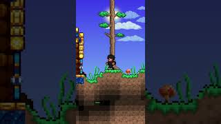 TODAS LAS ALAS DE TERRARIA  Alas de Polluelo terraria TuToAmer [upl. by Assetan]