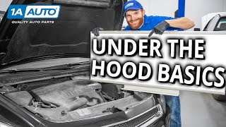 Under the Hood Basics Learn About the Stuff Under Your Cars Hood [upl. by Aileda]