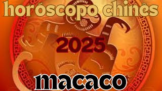 Horóscopo Chinês 2025  Macaco [upl. by Arikaahs]