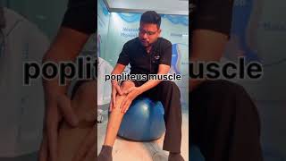 Knee pain 🦵🏼🦵🏼🦵🏼🦵🏼🦵🏼🦵🏼🦵🏼🦵🏼🦵🏼 check your symptoms and do this exercise [upl. by Etireugram793]