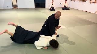 Aikido Kata Dori Ikkyo Highlights [upl. by Truman]