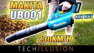 🔥BRUTAL DAS NEUE 40V Akku Gebläse UB001GZ von MAKITA😱  Makita Akku Gebläse UB001GZ  Review amp Test [upl. by Farand419]