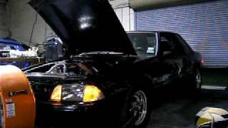 THR 347 Mustang Stroker 7000 RPM Dyno Pull 475 RWHP All Motor NA [upl. by Earazed776]