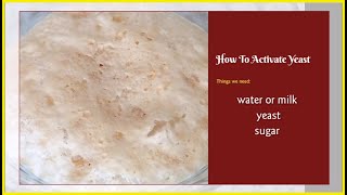 How To Activate Yeast  PROPER WAY OF ACTIVATING YEAST  Super Marie [upl. by Gingras]