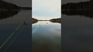 Fiske i älven 🎣 fiske fishing norrland nature indalsälven [upl. by Meill675]