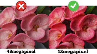 12MP is better than 48MP What is the truth behind this  12MP vs 48MP [upl. by Rhodia655]