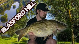 BIG Carp hunting at Blasford hill fisheries [upl. by Majka]