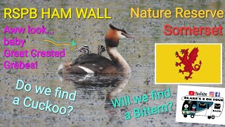 RSPB Ham Wall Nature Reserve amp Walton Hill Somerset no 340 110524 [upl. by Netsrejk]