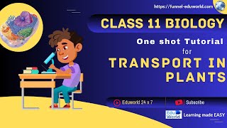 Transport In Plants  Class 11 BIOLOGY  NEET [upl. by Joashus166]