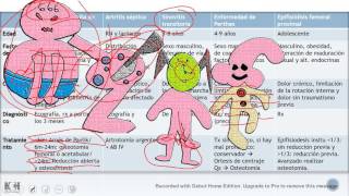 Traumatología Pediátrica Repaso rápido ENARMMIR [upl. by Kimberli51]