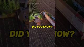 The Harvest detailenjoyer didyouknow nowyouknow educational farming agriculture harvest fact [upl. by Eidurt]