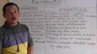 ¿QUÉ ES EL PLEONASMO EJEMPLOS DEL PLEONASMO  DEFUNCIÓN DE PLEONASMO  Wilson te enseña [upl. by Aisatsana]