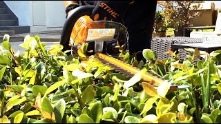 STIHL HSA 66 Cordless Hedge Trimmer Review [upl. by Neeron]