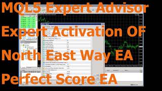 MQL5 Trading Robot Expert Advisor EA MT45 Activation Perfect Score BKK Scalper North East Way EA [upl. by Anitak]