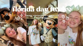 Orlando Florida Day Twelve ✨ Character Breakfast Animal Kingdom amp Hollywood Studios ☀️🇺🇸 🎢 [upl. by Hairym]