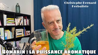 Romarin Rosmarinus officinalis  la puissance aromatique [upl. by Krigsman]