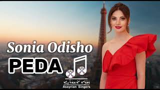 Sonia odisho  Peda 2024 live سونيا اوديشو [upl. by Weitzman]