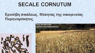 SECALE CORNUTUM  ΑΝΤΙΜΕΤΩΠΙΣΗ ΟΞΕΩΝ ΚΑΤΑΣΤΑΣΕΩΝ ΜΕ ΟΜΟΙΟΠΑΘΗΤΙΚΗ [upl. by Rustin72]