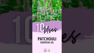 Patchouli Essential Oil Uses  Essential Oils Education [upl. by Erena]