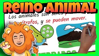 🦁 El REINO ANIMAL para NIÑOS de PRIMARIA  VERTEBRADOS e INVERTEBRADOS [upl. by Burtie]