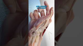 Basal Joint Surgery 3D Animation [upl. by Topper23]