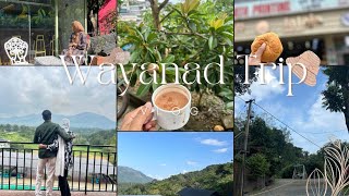 Family Trip to WayanadDay 2Travel vlog ☕ [upl. by Pinkham]