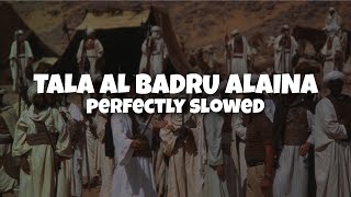 tala al badru alaina  Slowed amp Reverb [upl. by Neelhtak936]