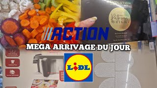 🛒ARRIVAGE LIDL amp ACTION ✨️ ON FAIT LES COURSES ENSEMBLE 🍇🍌🥕🥦 [upl. by Nnylirak254]