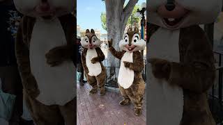 Disney’s Chip N Dale  Disneyland [upl. by Ettener]