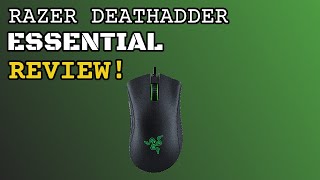 ✔️ Reviewing the Razer Deathadder Essential [upl. by Enamart]