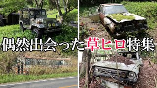 【廃墟探索】廃墟探索中に偶然出会った草ヒロ特集 ～JEEP・謎のバス・セドリック・サニーバン・コロナマークⅡ～【廃車両】 [upl. by Bird]