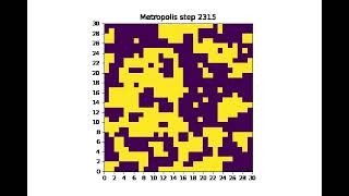 Ising model simulation using Metropolis Monte Carlo [upl. by Daron]