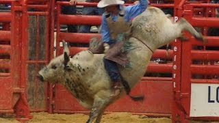 Xtreme Bull Riding at Four States Fair amp Rodeo [upl. by Retseh]