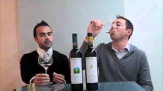 Corkd interview with Giampaolo Venica winery owner of Venica amp Venica in Friuli Italy [upl. by Yrrol]